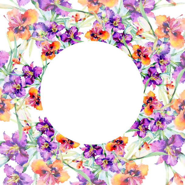 Paarse Daglelies boeket bloemen botanische bloemen. Aquarel achtergrond afbeelding instellen. Frame grens ornament vierkant. - Foto, afbeelding