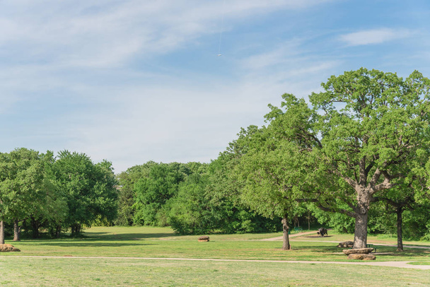 Parque urbano natural con césped de hierba y exuberante árbol en Texas, América
 - Foto, Imagen