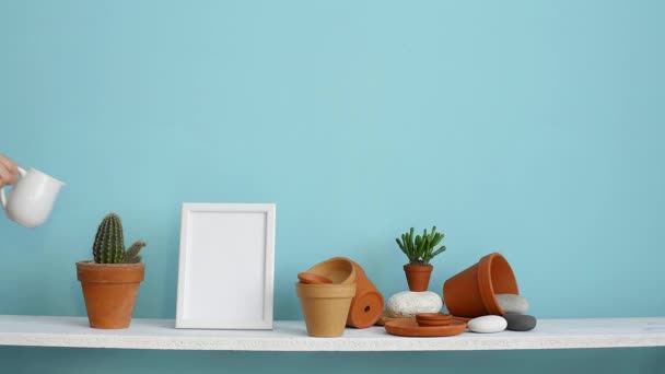 図フレームモックアップ付きのモダンな客室の装飾。陶器とジューシーな植物とパステルターコイズの壁に対する白い棚。手水鉢サボテン植物. - 映像、動画