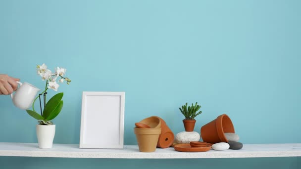 図フレームモックアップ付きのモダンな客室の装飾。陶器とジューシーな植物とパステルターコイズの壁に対する白い棚。手水鉢植え蘭植物. - 映像、動画