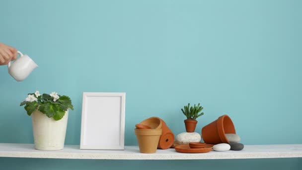 Modern szoba dekoráció képkeret mockup. Fehér polc pasztell türkiz fal kerámia és zamatos növény. Kézzel öntözés cserepes lila növény növény. - Felvétel, videó
