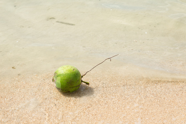зелені кокосових
 - Фото, зображення