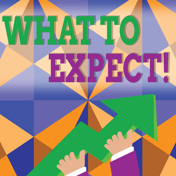 Word writing text What To Expect. Business concept for asking about regard something as likely to happen occur photo of Hand Holding Colorful Huge 3D Arrow Pointing and Going Up. - Photo, Image
