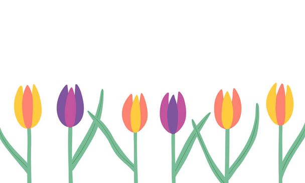 Tulipany izolowane na białym tle wektor transparent - Wektor, obraz