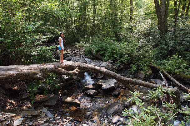 Giovane donna sul tronco da un torrente Smoky Mountains
. - Foto, immagini