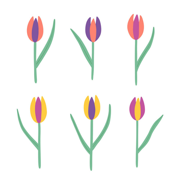 Tulipes colorées dessin à la main gribouillis illustration
 - Vecteur, image