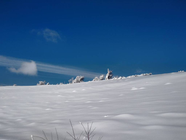 Arboles y montes cargado sde nieve pueblo de Parva, Rumana, Transilvania. Paisaje de invierno - Foto, imagen