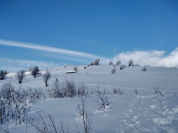 Arboles y montes cargado sde nieve pueblo de Parva, Rumana, Transilvania. Paisaje de invierno - Foto, Imagen