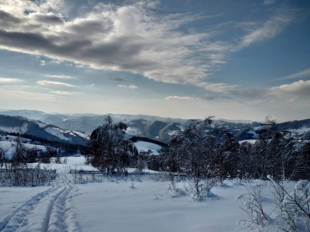 Arboles y montes cargado de nieve pueblo de Parva, Rumana, Transilvania. Paisaje de invierno - Valokuva, kuva