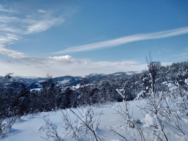 Arboles y Montes cargado de Nieve Pueblo de parva, Rumana, Transilvania. Paisaje de invierno - Foto, afbeelding