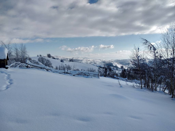 Arboles y Montes cargado de Nieve Pueblo de parva, Rumana, Transilvania. Paisaje de invierno - Foto, afbeelding