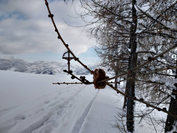 Arboles y montes cargado sde nieve pueblo de Parva, Rumana, Transilvania. Paisaje de invierno - Foto, Imagen