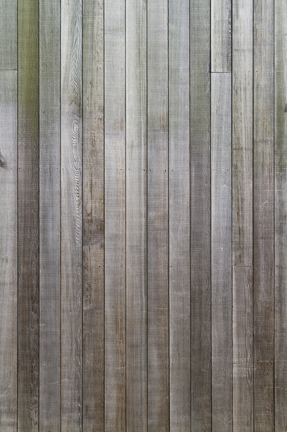 Tekstura drewna - Zdjęcie, obraz