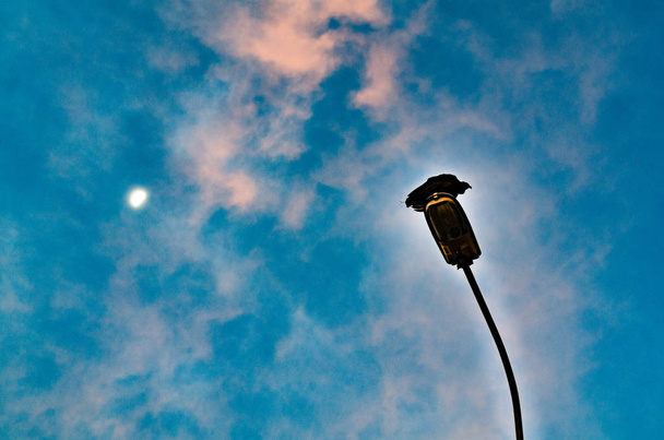 Κοράκι στέκεται σε μια κολώνα με θέα τον ουρανό και το φεγγάρι πάνω - Φωτογραφία, εικόνα
