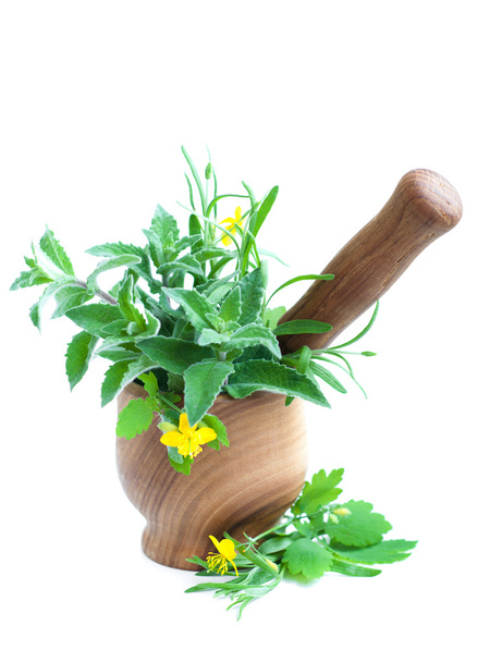 Mortar with herb - Photo, Image
