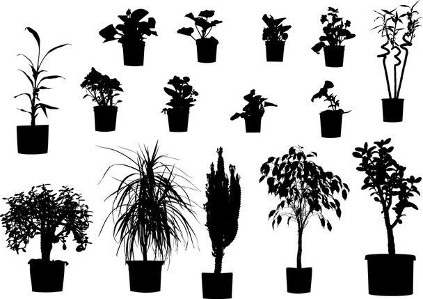plantas - Vetor, Imagem