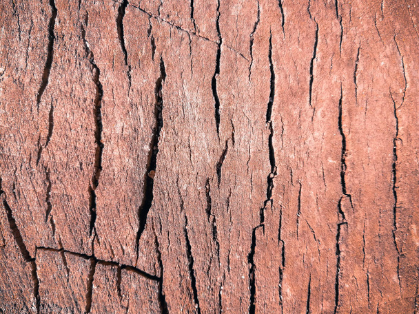 textura de madera cortada fondo
 - Foto, imagen
