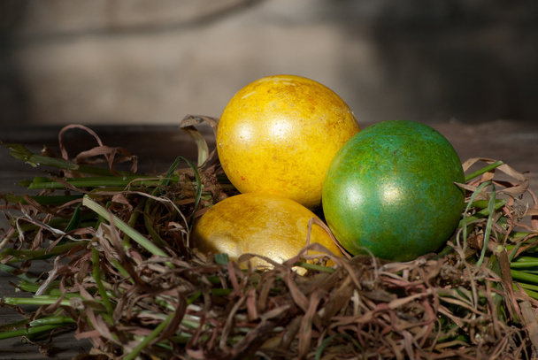 Yuvadaki paskalya yumurtaları - Fotoğraf, Görsel
