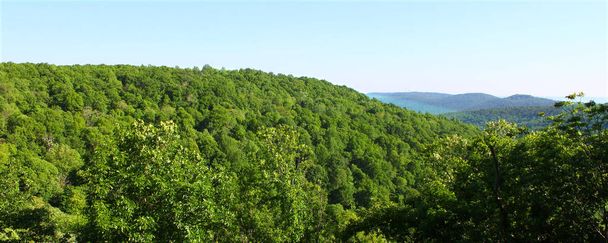 The vast forested lands of Monte Sano State Park in Alabama. - Φωτογραφία, εικόνα