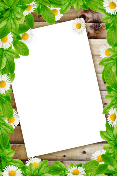 Frame: daisies on the wooden background and white paper - Fotografie, Obrázek