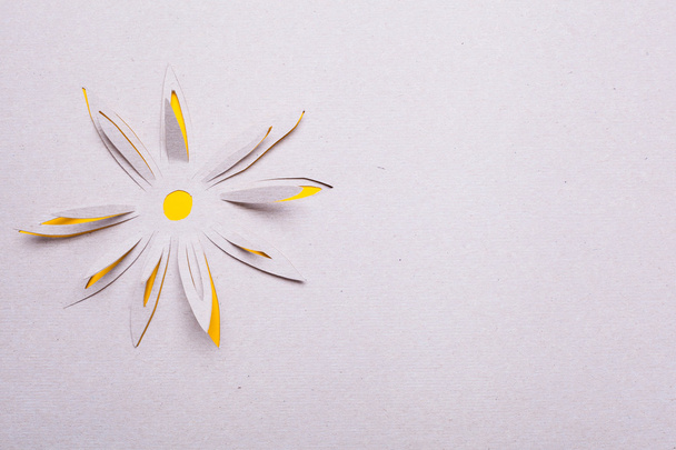 Origami flower - Fotografie, Obrázek