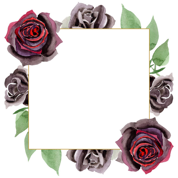 Fekete rózsa virág botanikai virágok. Akvarell háttér illusztráció meg. Keretszegély Dísz tér. - Fotó, kép
