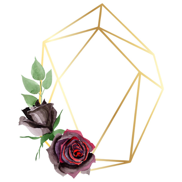 Zwarte roos bloemen botanische bloemen. Aquarel achtergrond illustratie set. Frame border ornament vierkant. - Foto, afbeelding