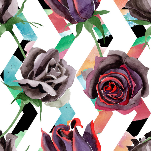 Rosa preta flores botânicas florais. Conjunto de ilustração de fundo aquarela. Padrão de fundo sem costura
. - Foto, Imagem
