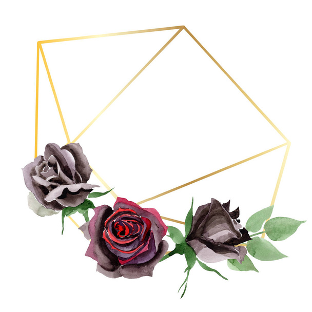 Rosa preta flores botânicas florais. Conjunto de ilustração de fundo aquarela. Quadro borda ornamento quadrado
. - Foto, Imagem