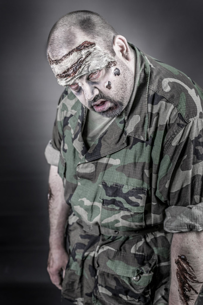 Зомби-солдат
 - Фото, изображение