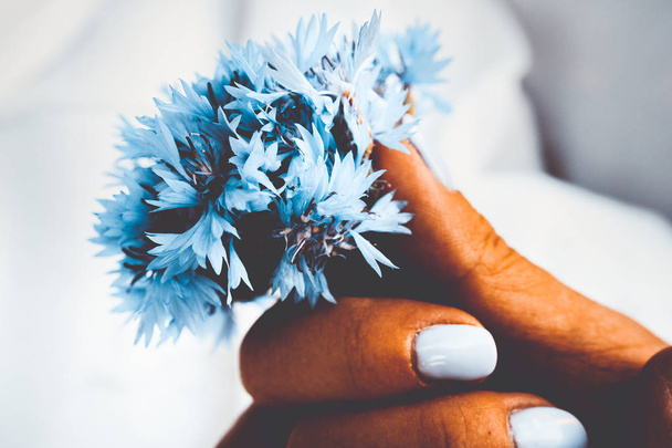 kytici chrpových květů - Fotografie, Obrázek
