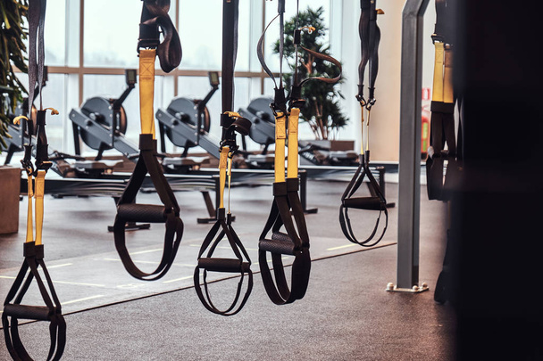 Interior and equipment in the modern gym, close-up view of suspension straps. - Photo, Image