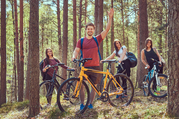 Groep jonge vrienden wandelen door het bos fietsen op een mooie zomerdag - Foto, afbeelding