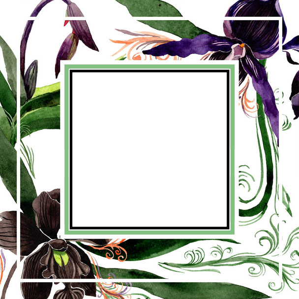 Black orchid floral botanical flowers. Watercolor background illustration set. Frame border ornament square. - Фото, зображення