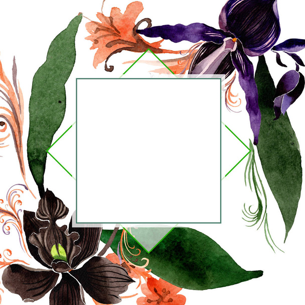 Zwarte orchidee bloemen botanische bloemen. Aquarel achtergrond illustratie set. Frame border ornament vierkant. - Foto, afbeelding