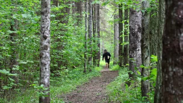 Vater und Sohn laufen auf Waldweg Folge drei - Filmmaterial, Video