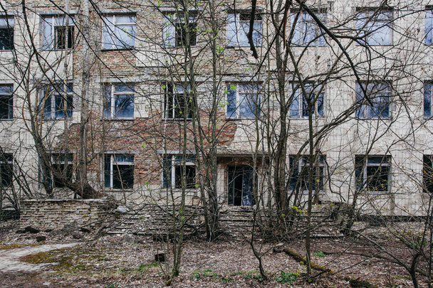 An abandoned building overgrown with trees in Pripyat, the Chernobyl zone - Photo, Image