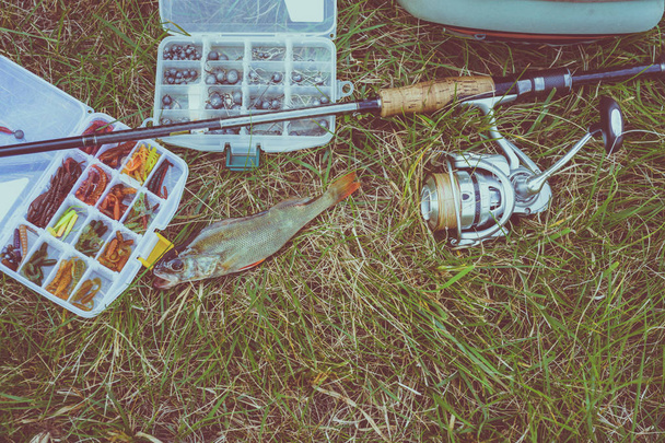 концепция рыбалки: снасти, удочка, рыба на траве
 - Фото, изображение