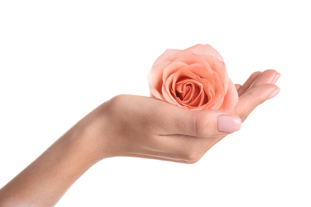 Woman holding rose on white background, closeup. Spa treatment - 写真・画像