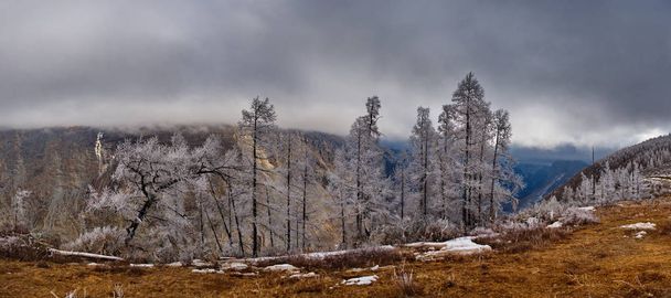 Холодный туман в горах Алтая. Россия. Ранним утром у перевала Кату-Ярык с видом на долину реки Чулышман
. - Фото, изображение