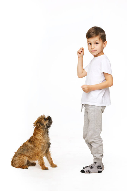 little boy is training the dog studio shot  - Fotografie, Obrázek