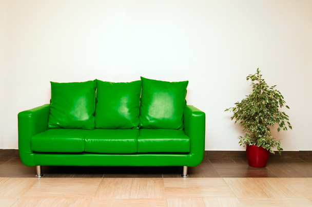 Green leather sofa with pillow and plant - Фото, зображення