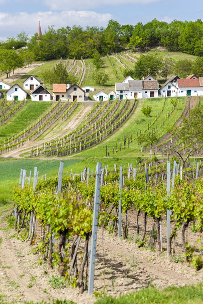 wine cellars with vineyards, Galgenberg, Lower Austria, Austria - Photo, Image