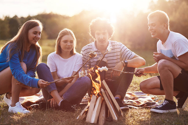 Company friends prepare roasted marshmallows snack isolated on nature background, youth group sitting around bonfire and comunicating, have picnic together during summer day, nice sunny weather. - Foto, imagen