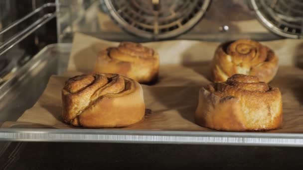Cinnamon rolls are baking in the oven on a baking paper. - Footage, Video