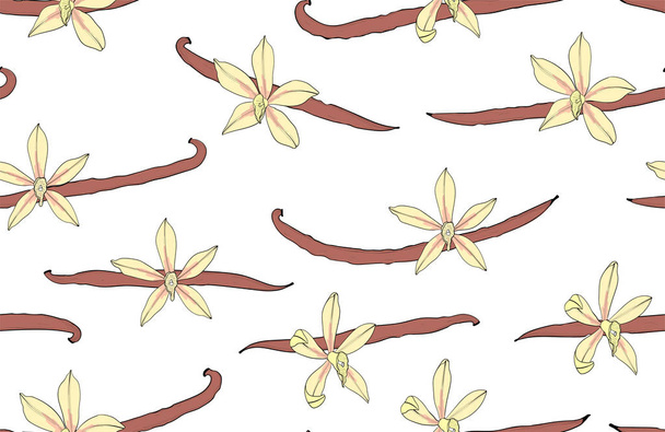 Vanilla seamless pattern. Flower and pod. Background with spice - Vector, Image