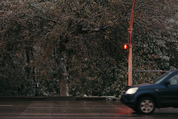 Passage pour piétons à un feu de circulation avec un panneau d'arrêt. Panneau rouge. L'asphalte humide, le mouvement de la machine
. - Photo, image