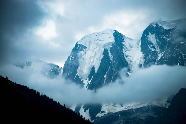 Lage wolk voor enorme gletsjer. Gigantische besneeuwde Rocky Mountains onder bewolkte hemel. Dikke mist in de bergen boven het bos in de vroege ochtend. Ondoordringbare mist. Donkere atmosferische landschap. Rustige sfeer. - Foto, afbeelding