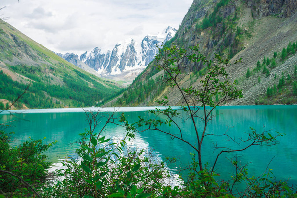 Bogata roślinność wyżyny przeciw górzystym jeziorom. Wspaniałe gigantyczne ośnieżone góry odbijały się w wodzie. Potok płynie z lodowca. Niesamowity krajobraz atmosferyczny majestatyczny Altai przyrody. - Zdjęcie, obraz