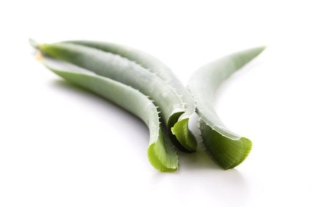 Aloe vera - herbal medicine - Fotoğraf, Görsel